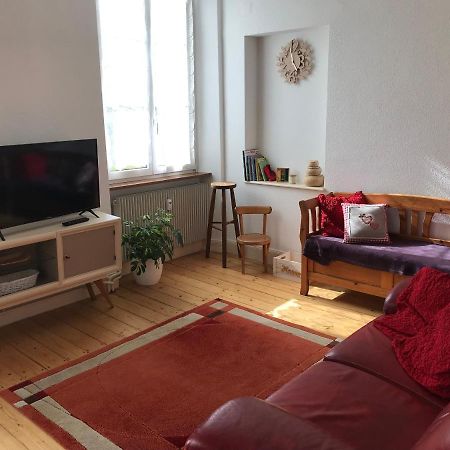Le Clos Des Iris - Gite Rural 95 M2 Tout Confort En Alsace Bossue Domfessel 外观 照片