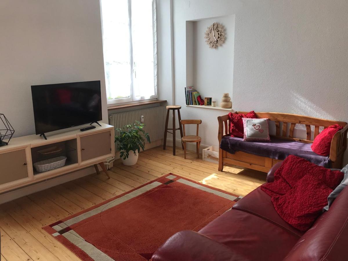 Le Clos Des Iris - Gite Rural 95 M2 Tout Confort En Alsace Bossue Domfessel 外观 照片