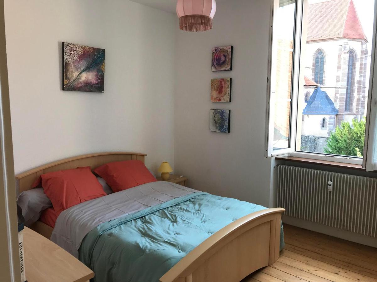 Le Clos Des Iris - Gite Rural 95 M2 Tout Confort En Alsace Bossue Domfessel 外观 照片